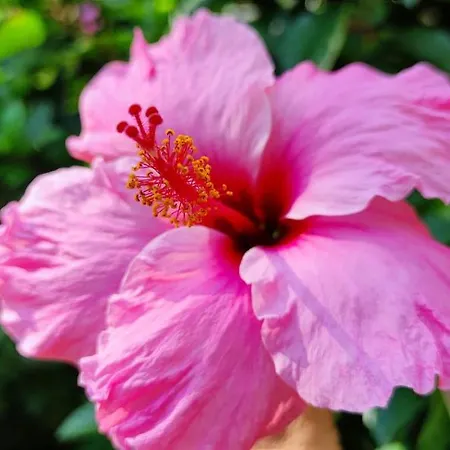 Apartment Dianium By Costa Denia