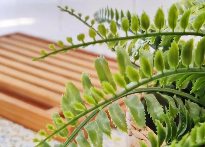 Dianium By Costa Апартаменты