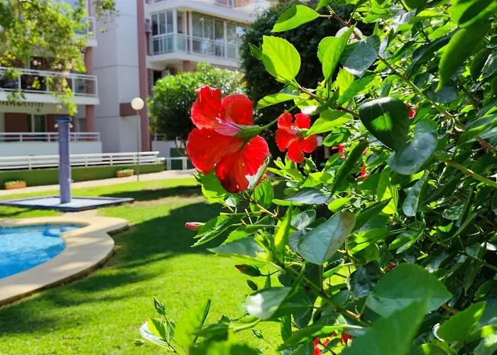 Διαμέρισμα Dianium By Costa